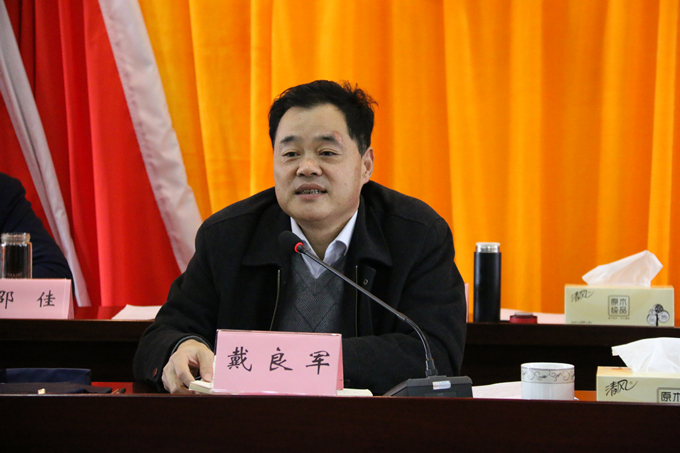 集團(tuán)黨委委員、副總經(jīng)理、總工程師戴良軍發(fā)表講話